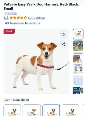 PetSafe Easy Walk Dog Harness for Small Dog